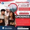 Canada Needs Many Positions. Call 99447984 