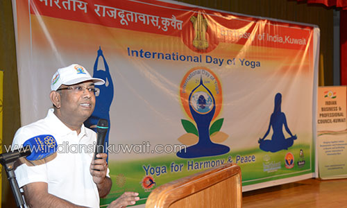 International Yoga Day celebrated in  Kuwait