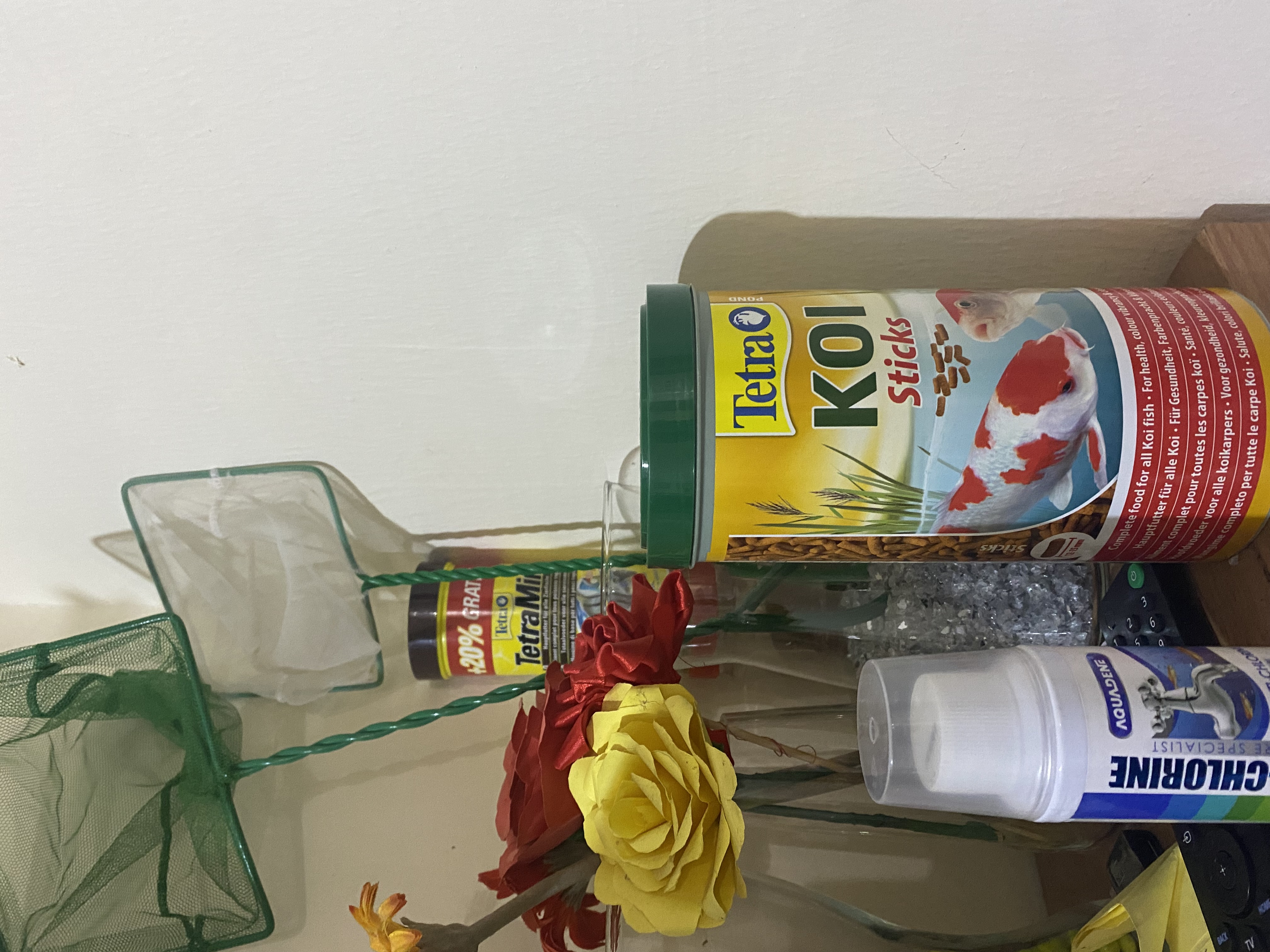 Fish tank with 2 fish and accessories for sale 