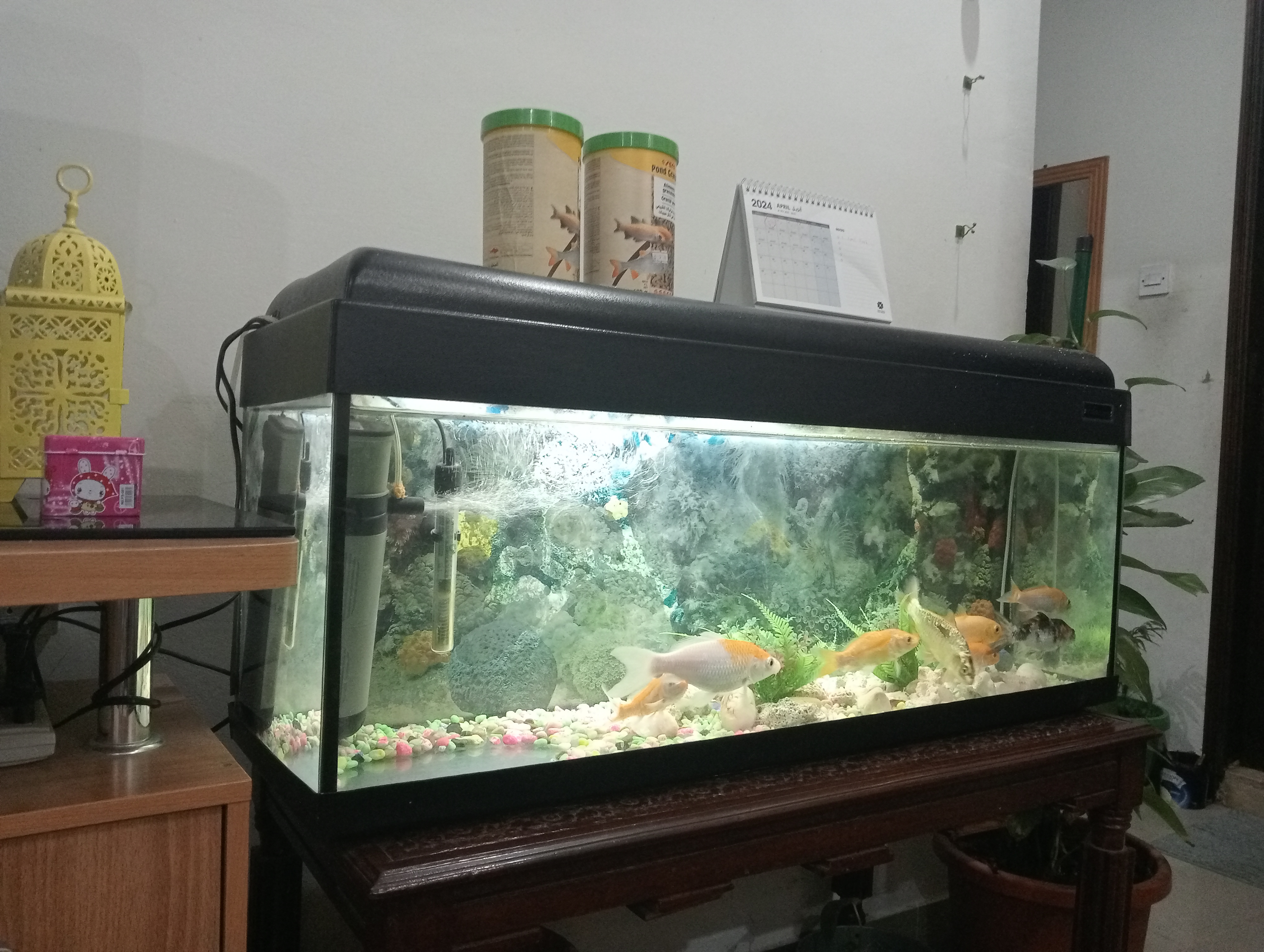 Fish tank with all accessories for Sale