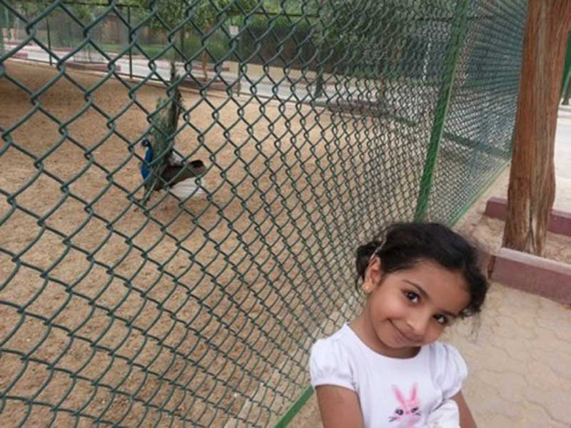 - My Trip To The Kuwait Zoo - My Trip To The Kuwait Zoo