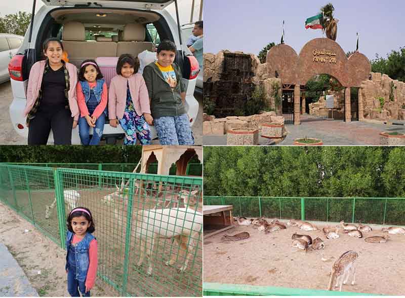  - The day I went to Kuwait zoo
