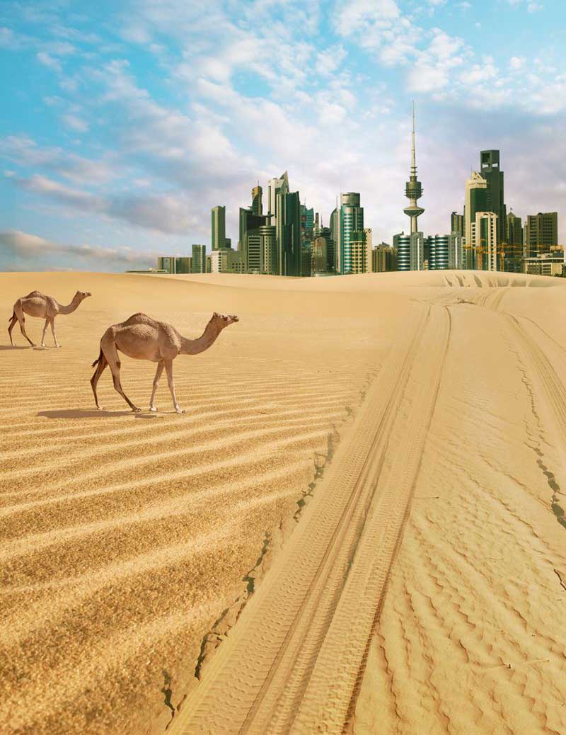 desert safari kuwait
