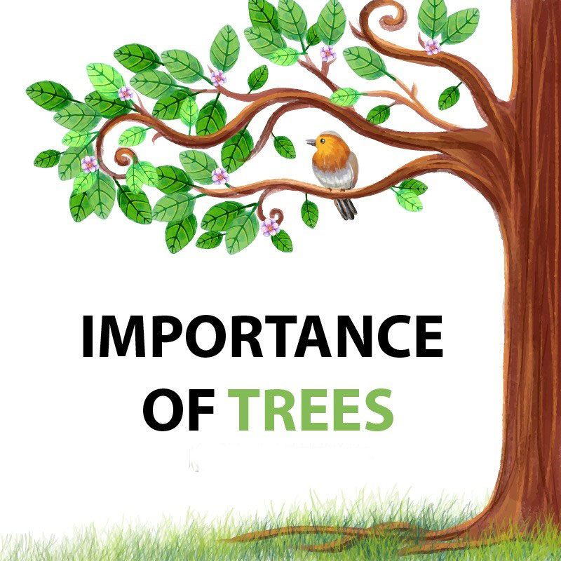 Importance of Trees 