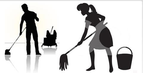 11.59% decrease in the number of domestic workers in the country
