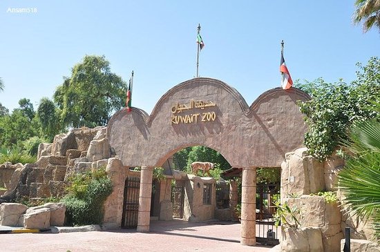Kuwait Zoo  stays open
