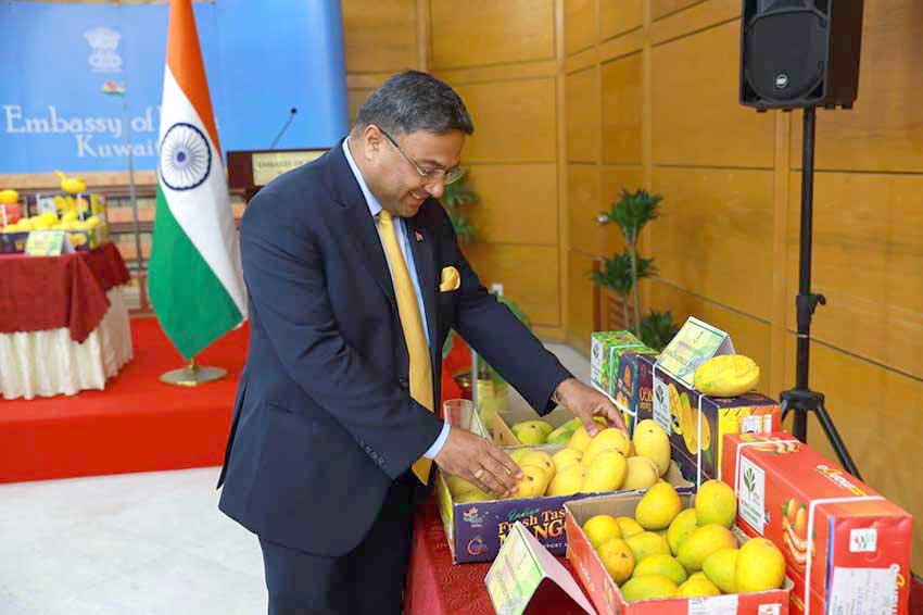Mangoes add sweetness to India