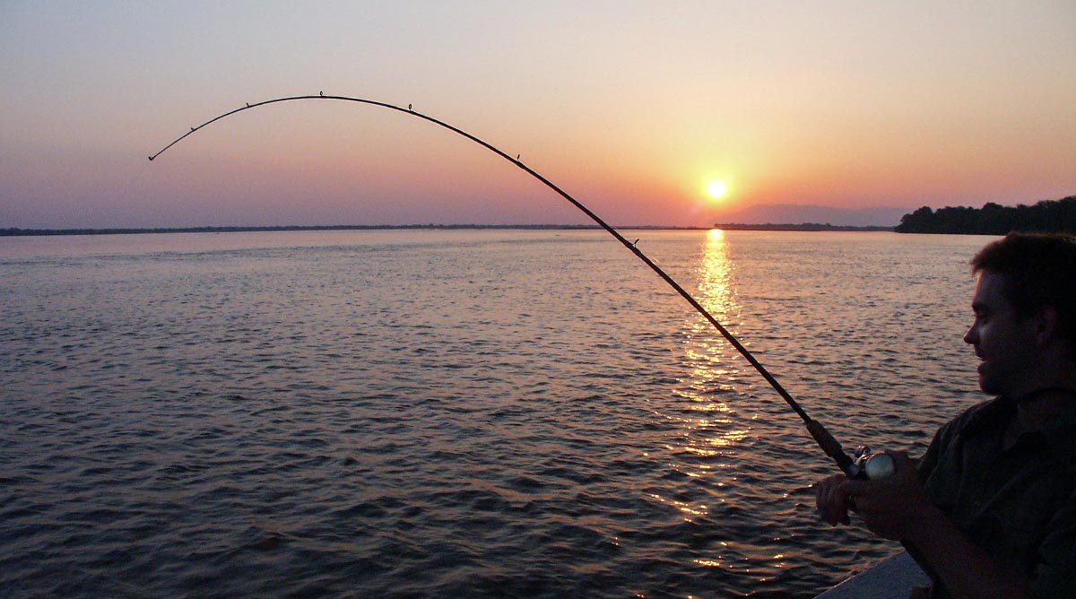 Environment  police issued fine for expats fishing in   prohibited areas