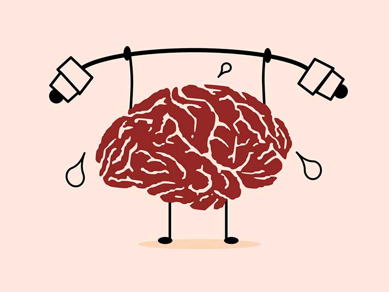 What do exercise do to our brain