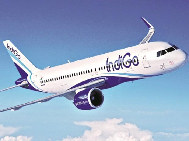 IndiGo to operate 23 repatriation flights  from Kuwait