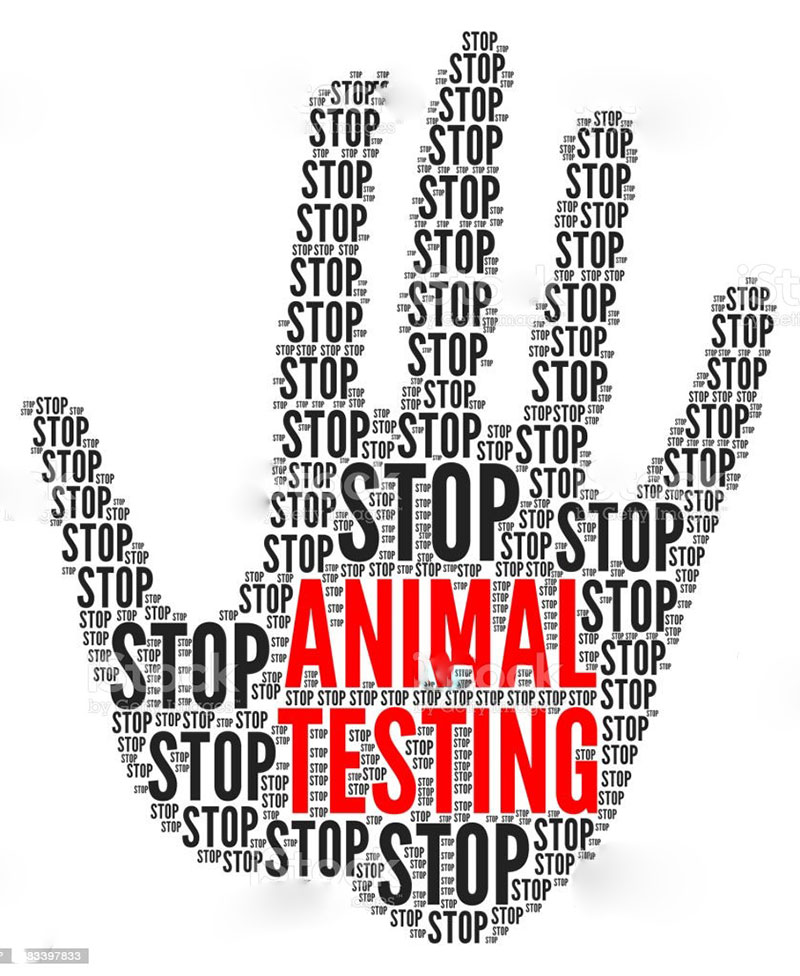 Horrors of Animal Testing