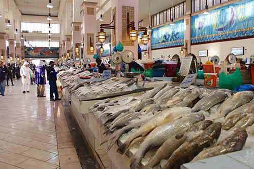 Fish markets to open from Monday