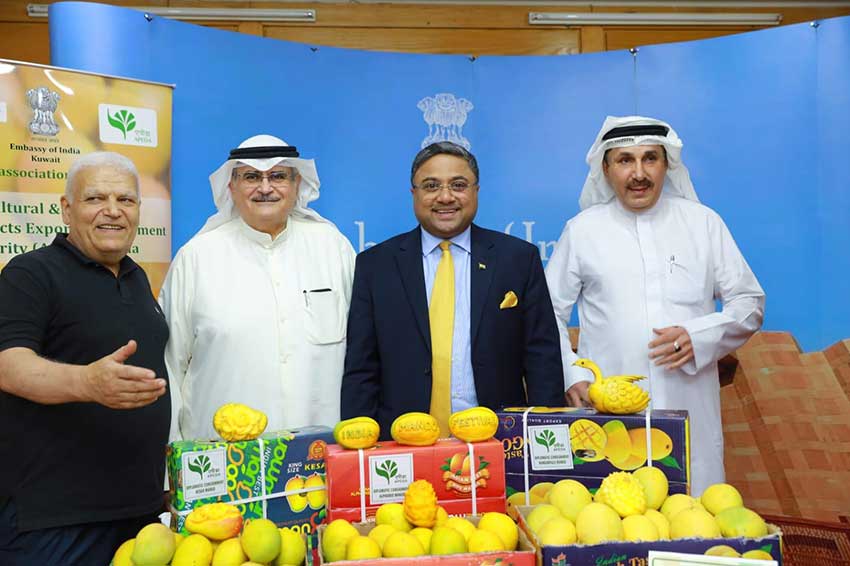 Indian Mango in Kuwait