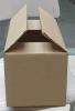 carton box - capacity 7 kg (1000 piece available )