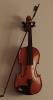 Violin Classes (classical) available in Riggae Block 1